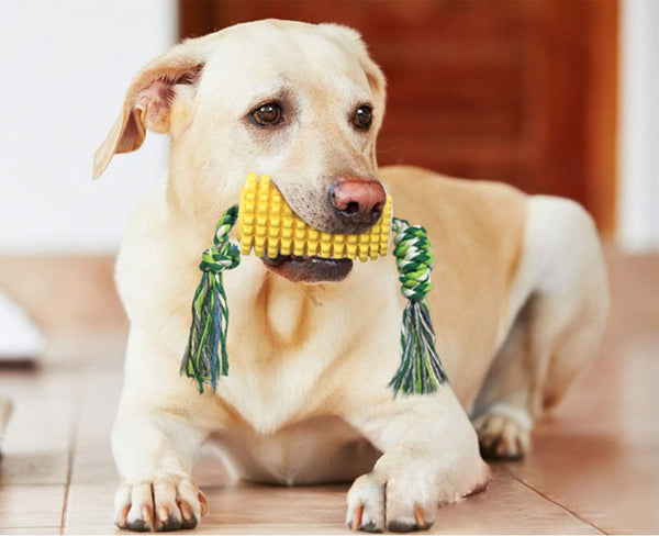 dog toy corn