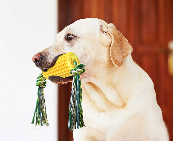 Dog Toy