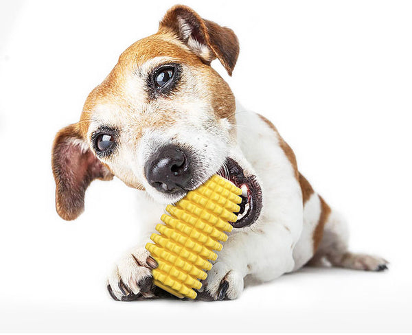 Dog toy corn
