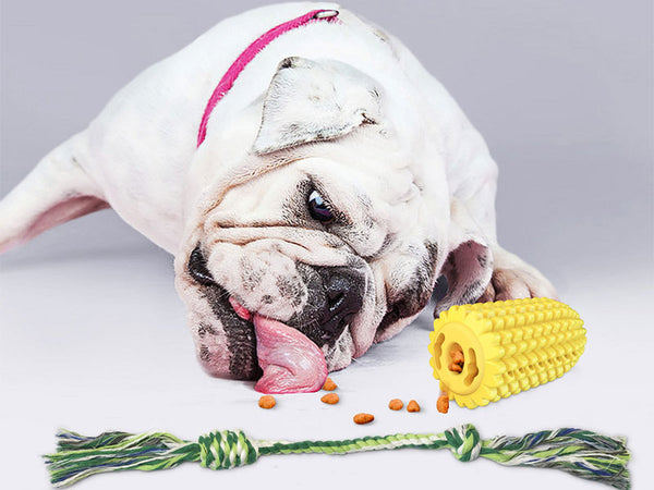 Dog toy corn