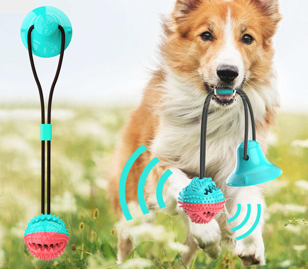 dog toy