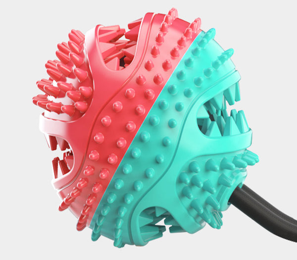 Dog Toy