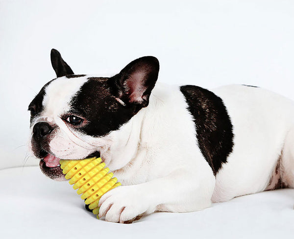 Dog Toy