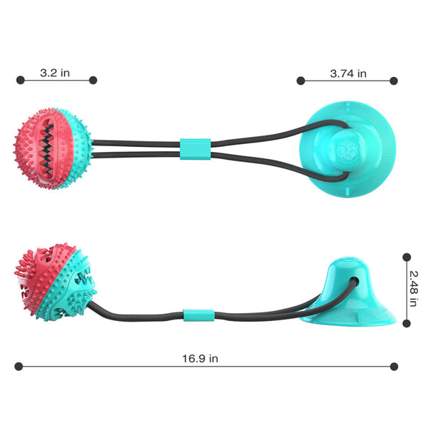 Pet-Molar