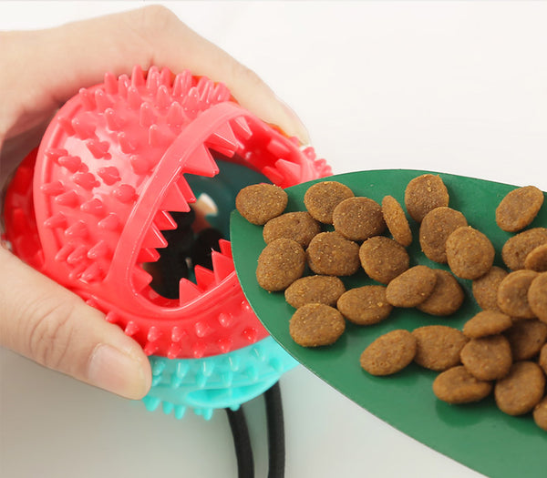 Dog Toy