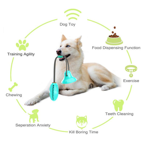 dog chew toys