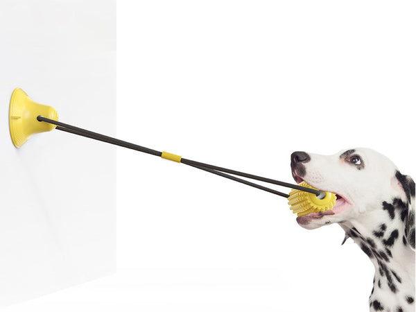 corn molar stick