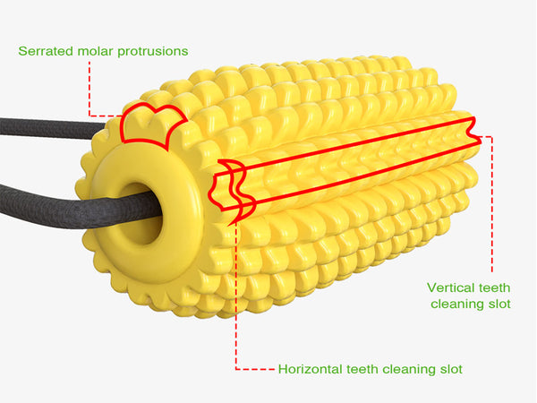 corn molar stick