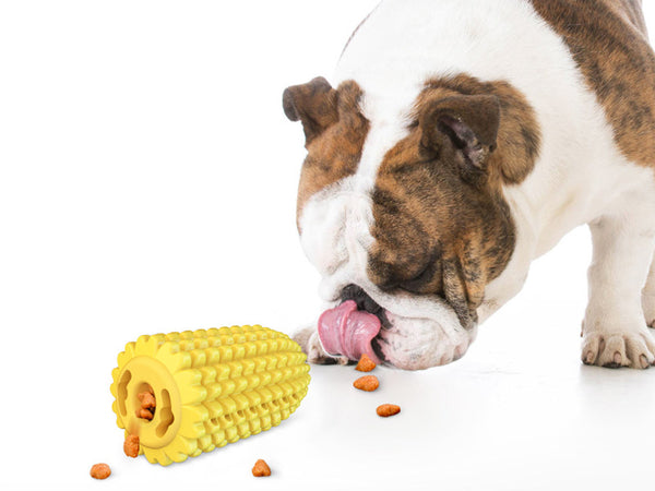 corn molar stick