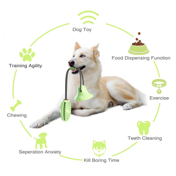 dog teethbrush chew toys