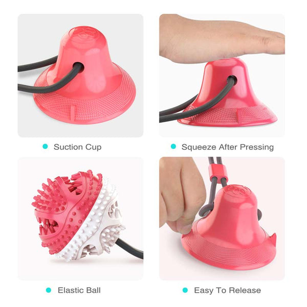 the-size-of-dog-chew-toys