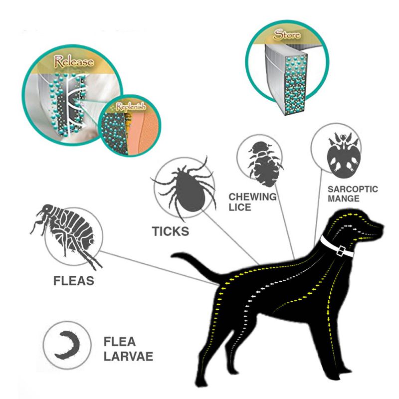 Pets Dog Cat Pest Fleas Control Reject Collars