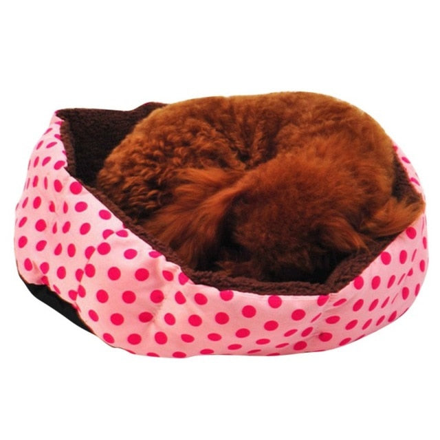 Colorful Leopard Print Pet Cat Bed