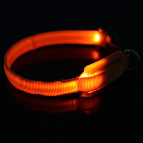 Small-Scale Safety Pet Dog Collar