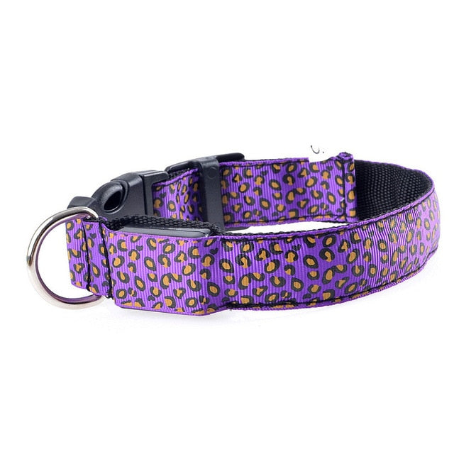 Rhinestone chain dog collar led light Leopard Style