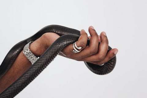 why snake rings so popular - Gthic.com - Blog