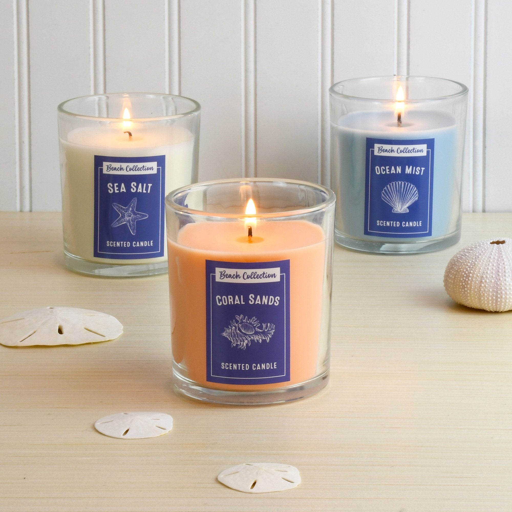 Beach Scented Wax Candle Collection