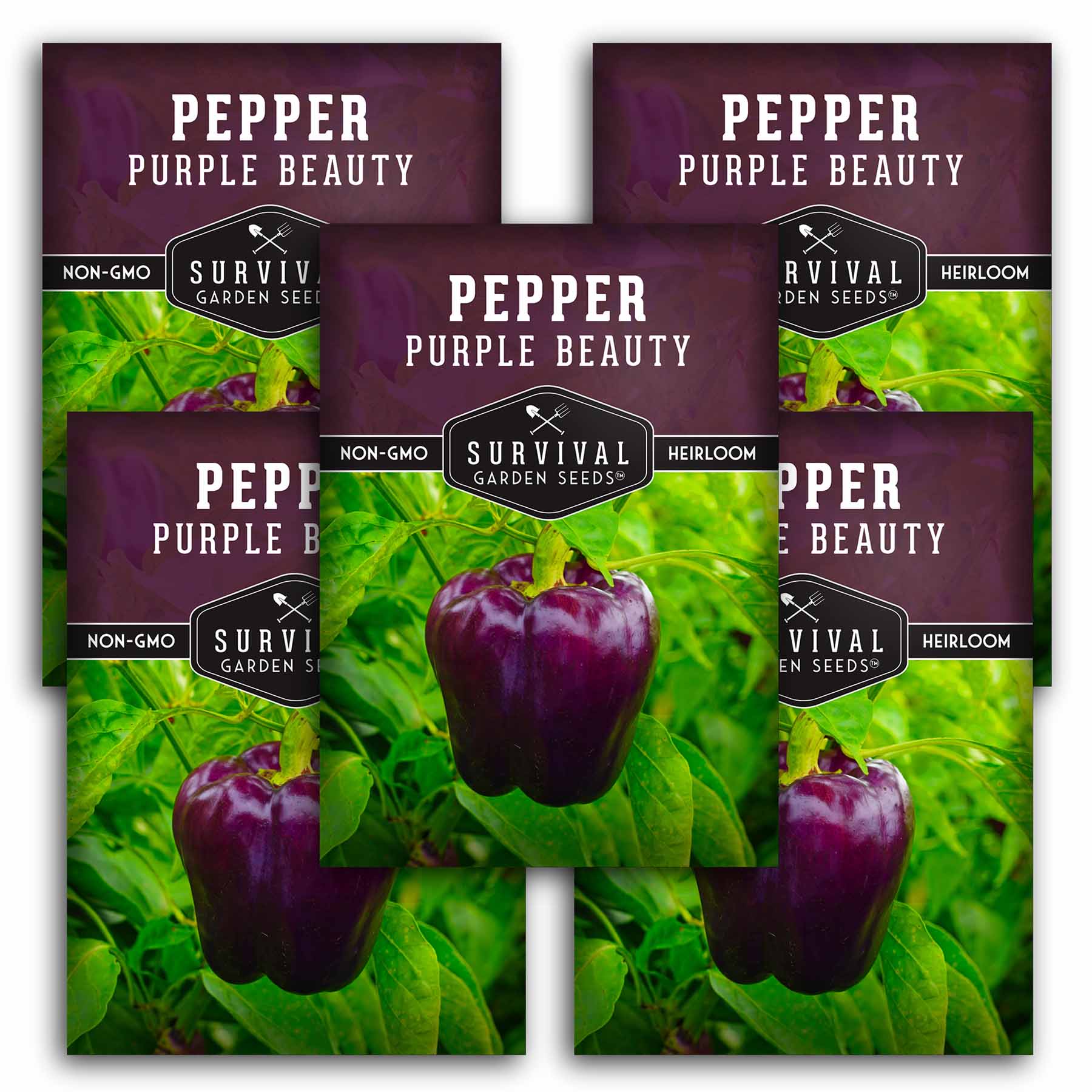 Purple Beauty Pepper Seed - Purple Bell Pepper