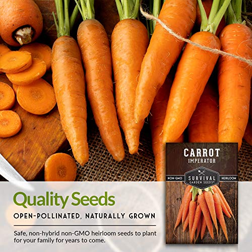 Scarlet Nantes Carrot Seed