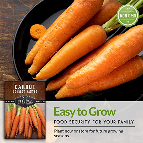 Scarlet Nantes Carrot Seed