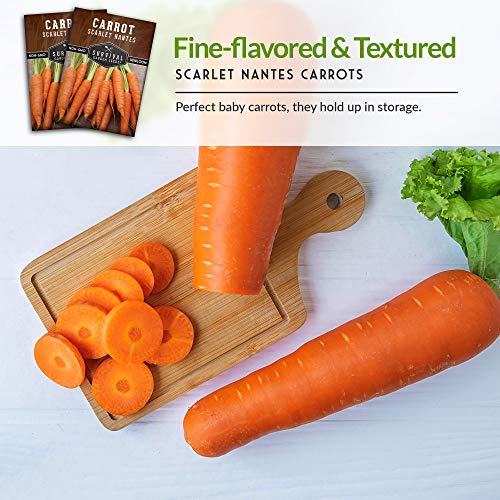 Scarlet Nantes Carrot Seed