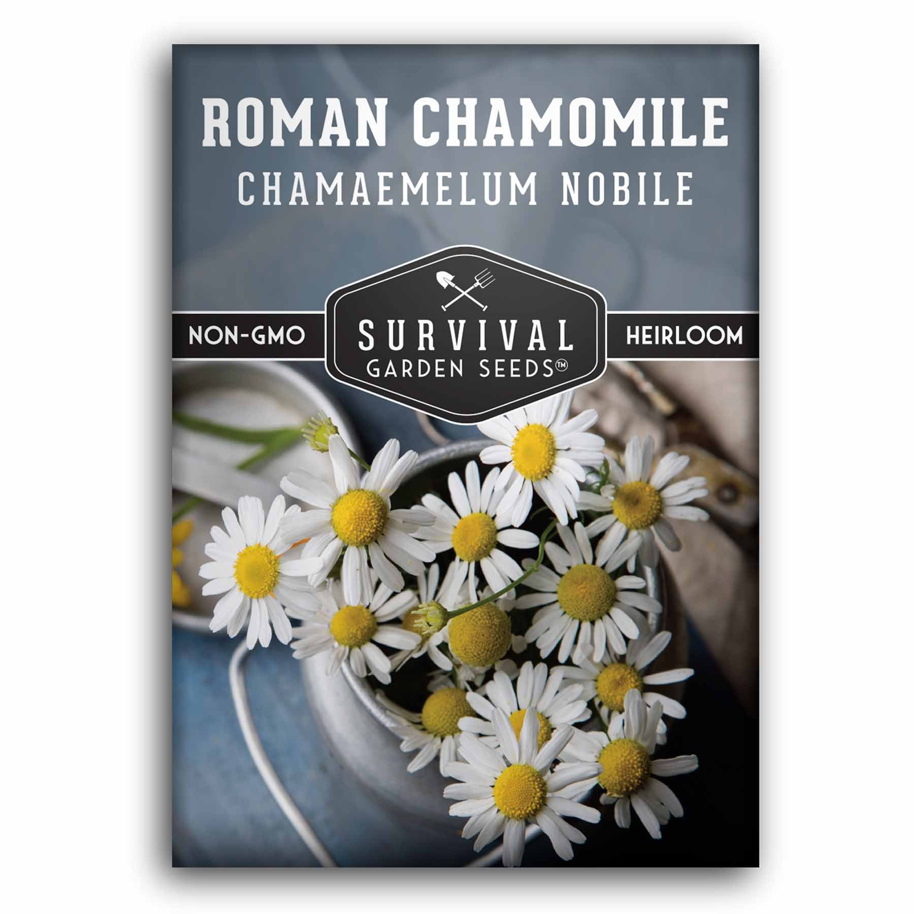 Roman Chamomile Seed
