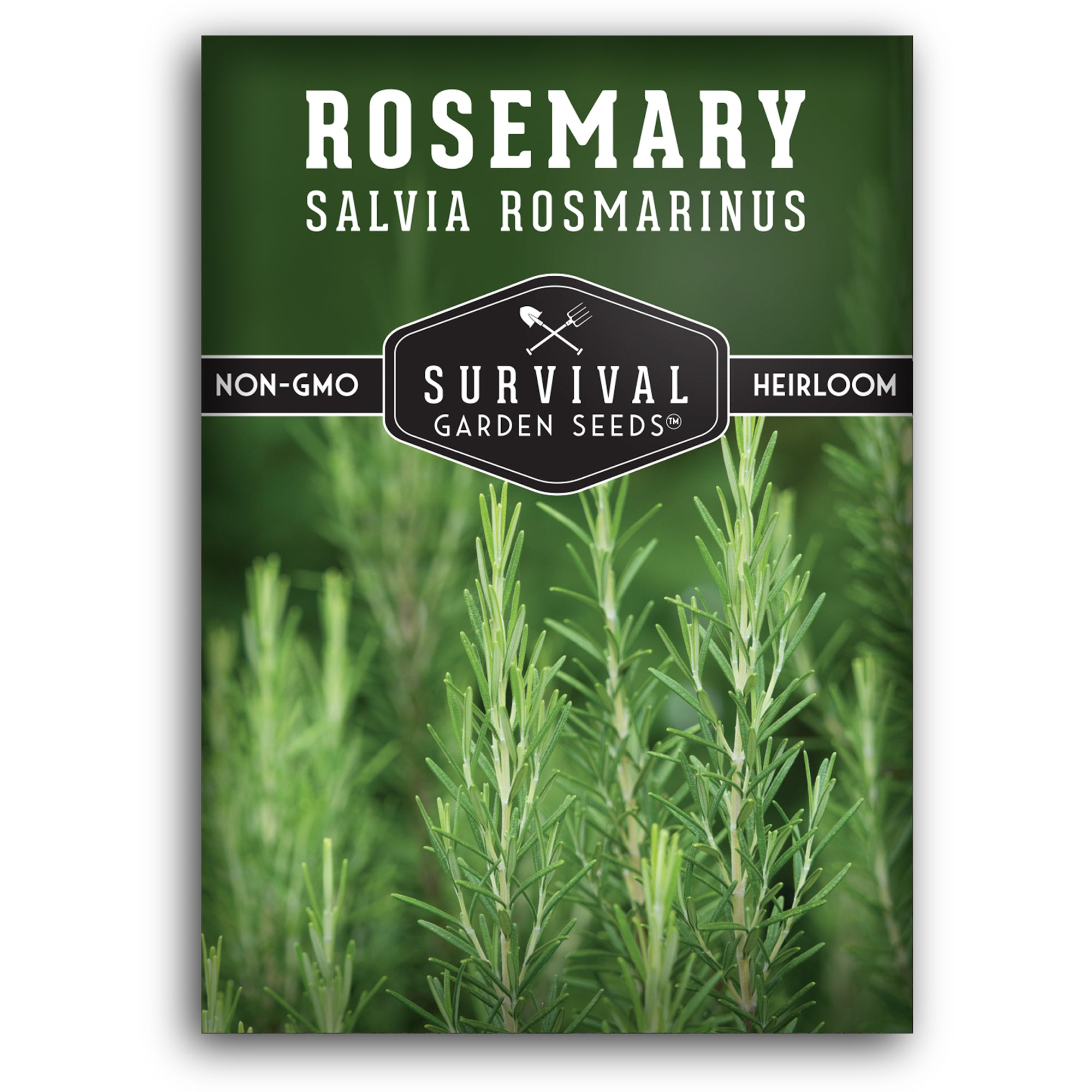 Rosemary Herb Seed