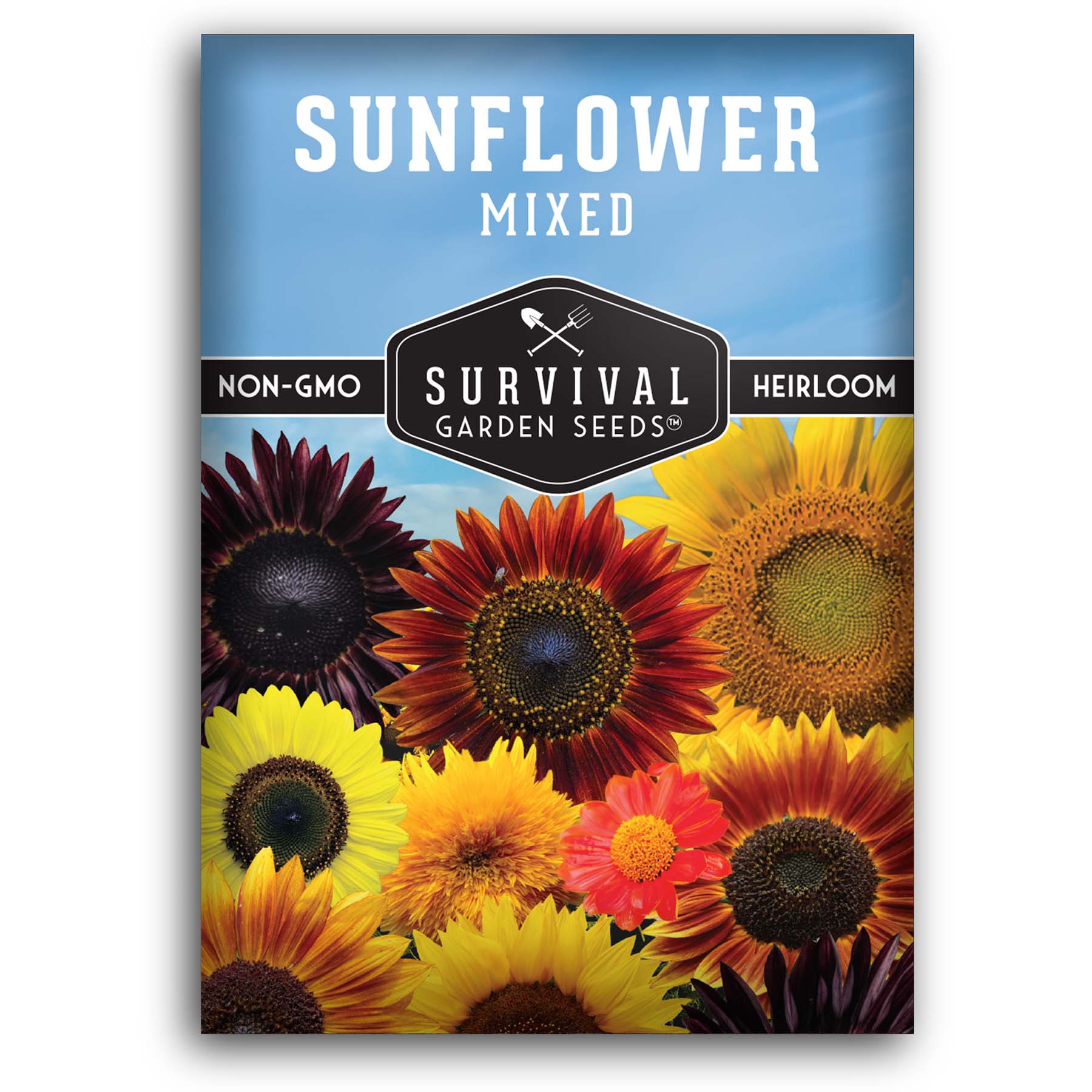 Mixed Sunflower Seeds