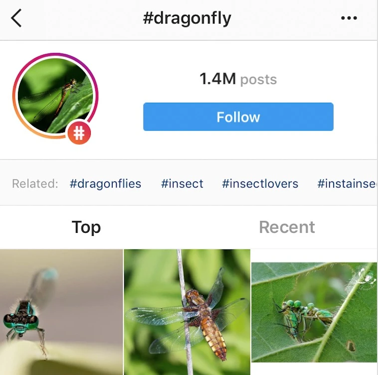 Instagram 话题标签