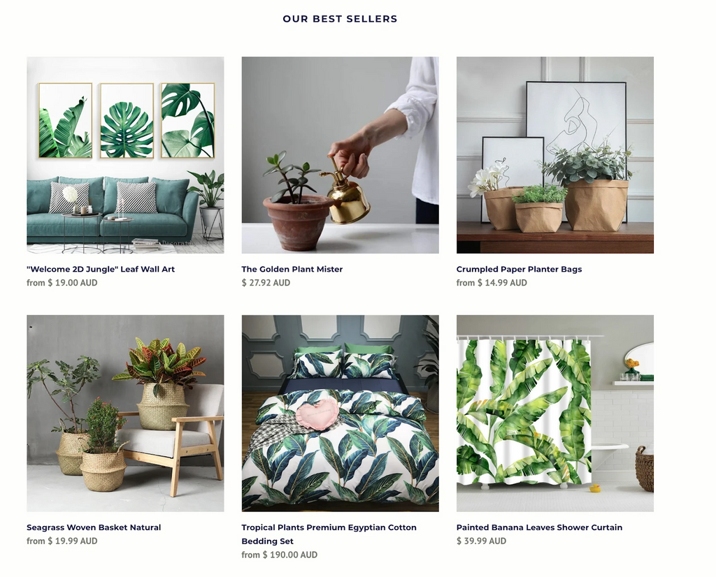 Shopify網(wǎng)站設計