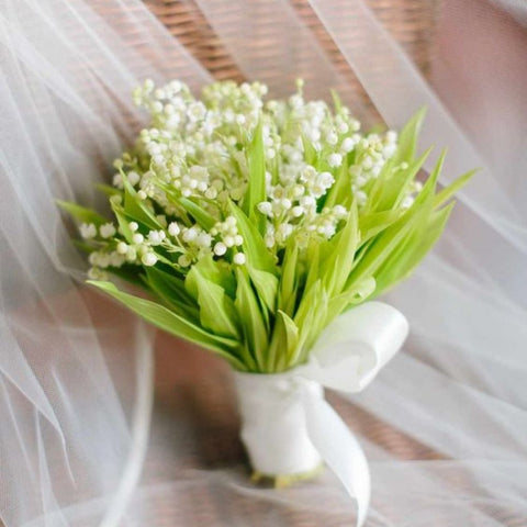 Lily of the Valley