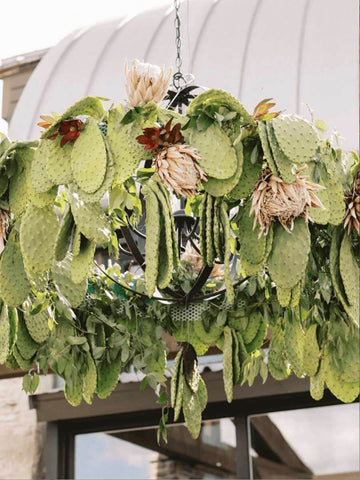 Cactus Hanging Installation