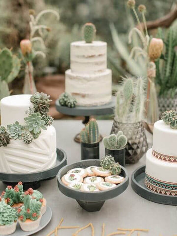 Desert Decorative Dessert Table