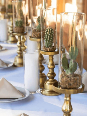 Elegant Cacti Candles Stick