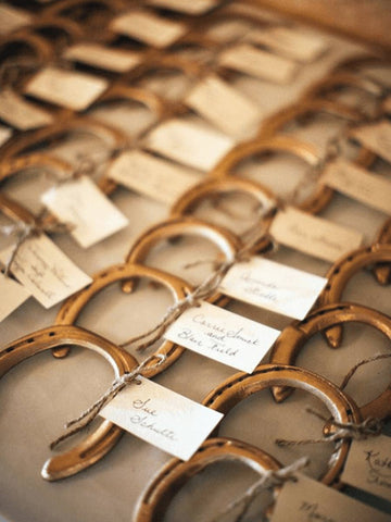 Playful Horseshoes Escort Cards