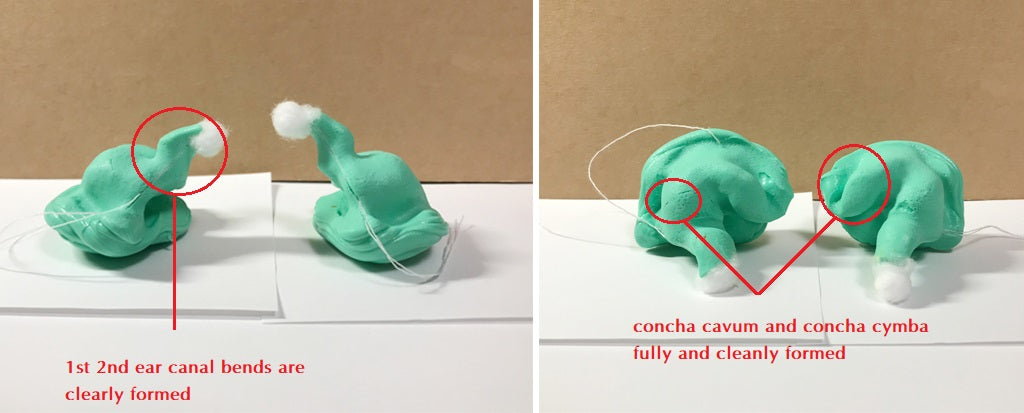 Ear Impression – hisenior