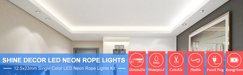 Shine Decor 6500K Cool White LED Neon Rope Light