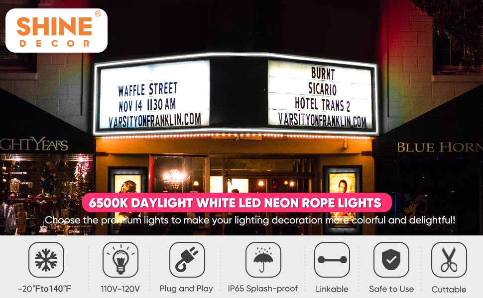 Shine Decor LED Neon Rope Lights