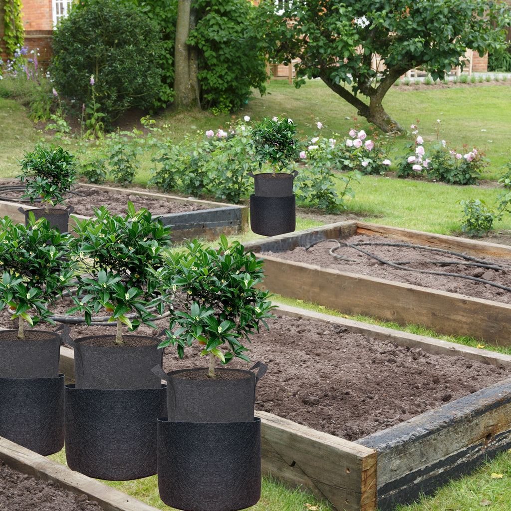 marry to raised bed