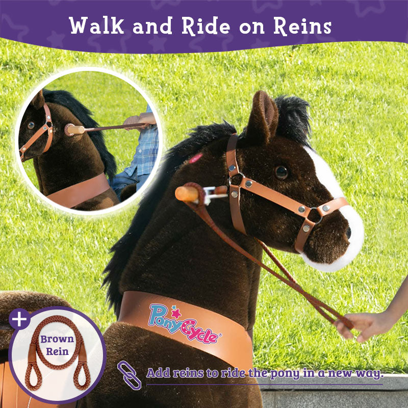 Walk and ride on reins