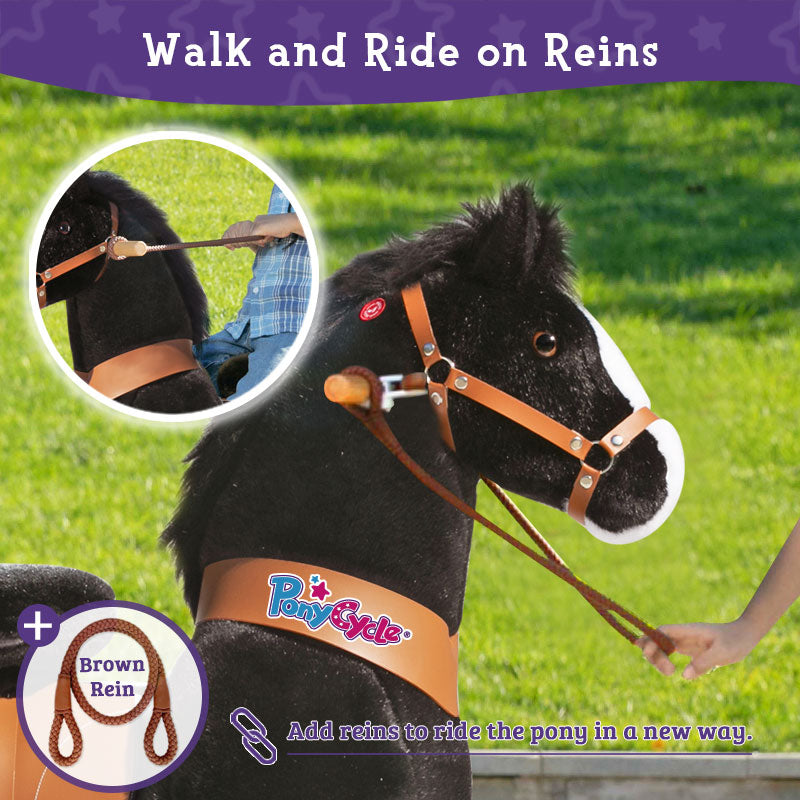 Walk and ride on reins