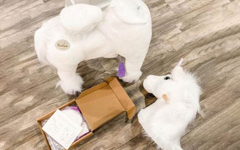 PonyCycle animal riding