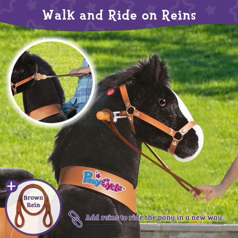 Walk and ride on reins