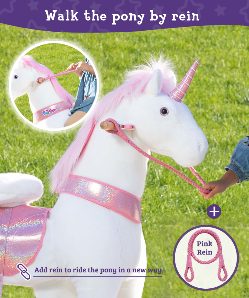 reins for ponycycle riding unicorn