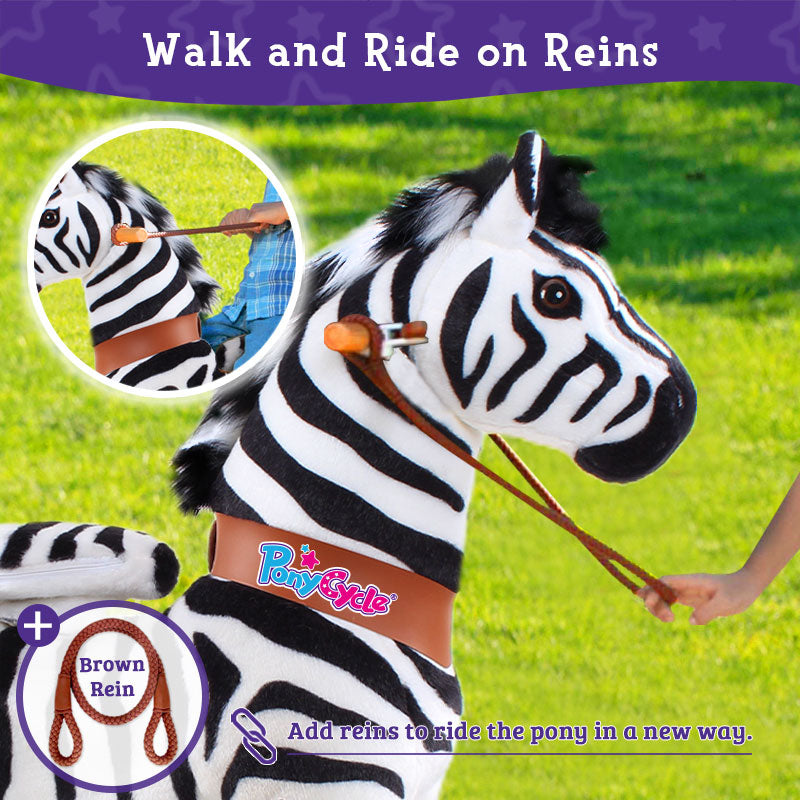 Walk and ride on reins