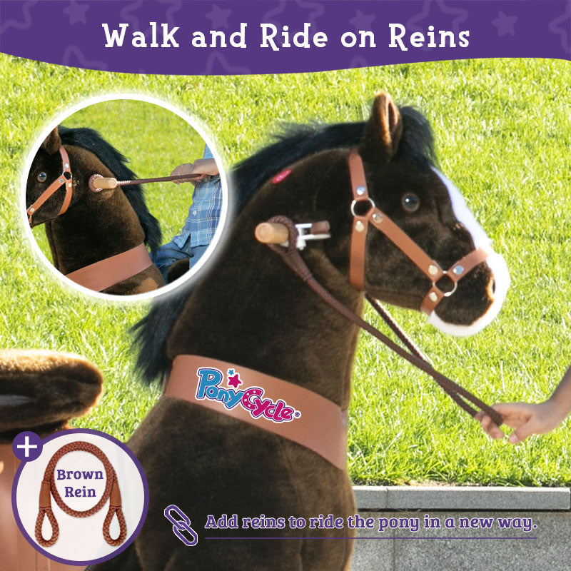 Get reins