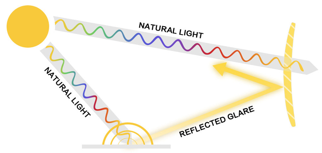 how does the polarized lens filter glares