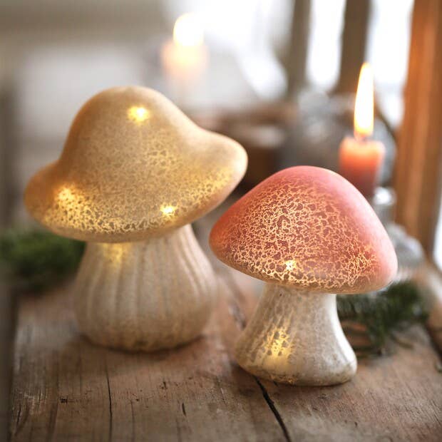 Little Glass Mushroom Light