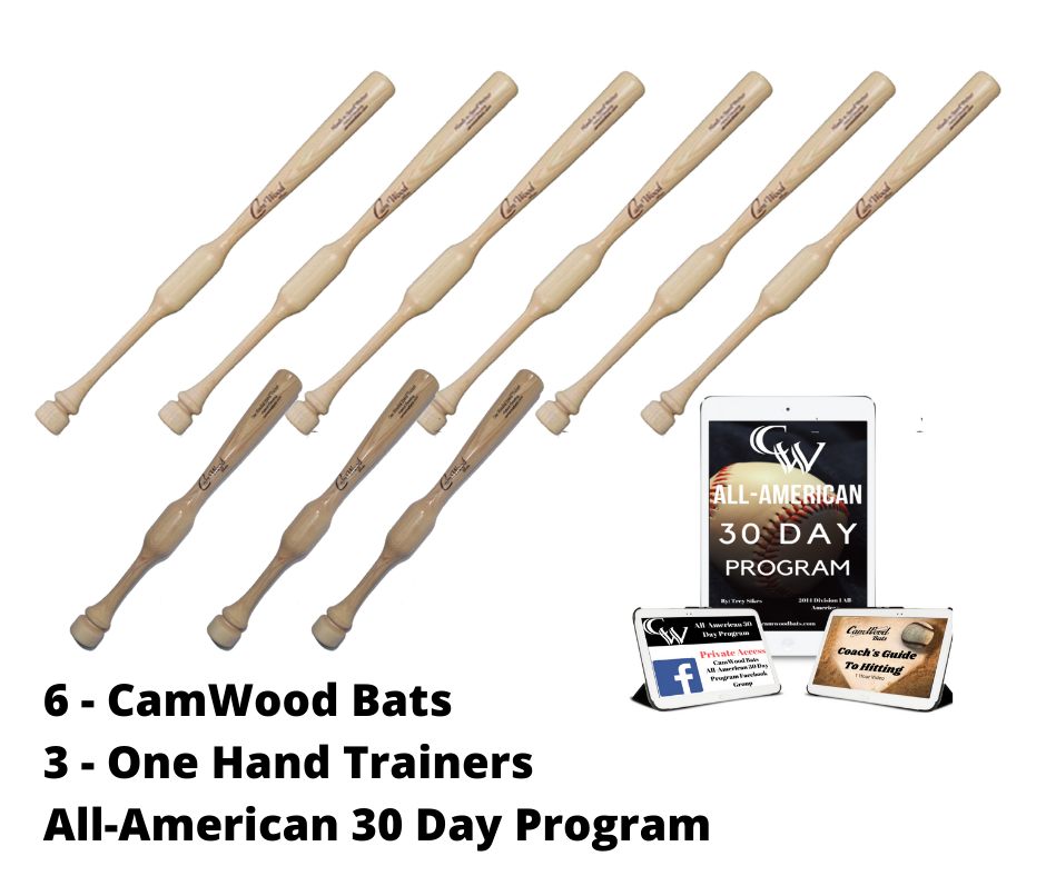 6 Softball CamWood Bats, 3 One Handers, & All-American 30 Day Program