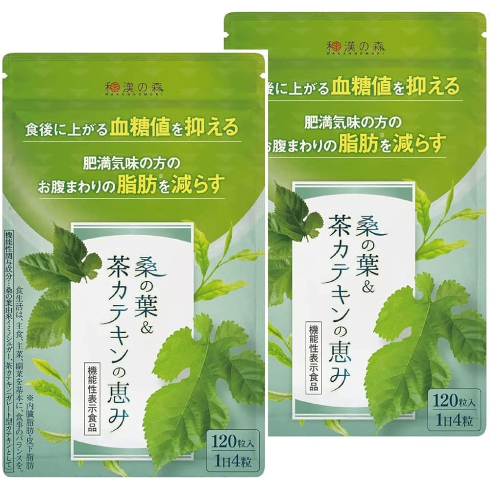 Mulberry Leaf Tea Catechin 120 Tablets Suppress Blood Sugar Level Food with Function Claims Reduce Belly Fat Visceral Fat Supplement Japanese and Chinese Forest 2 Bags